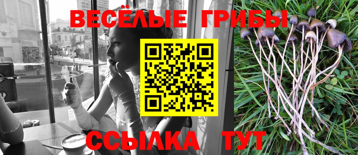 Дзержинск  Псилоцибиновые грибы MAGIC MUSHROOMS  сколько стоит  Вход с VPN 