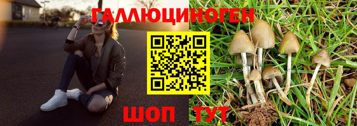 Псилоцибиновые грибы ЛСД Дзержинск